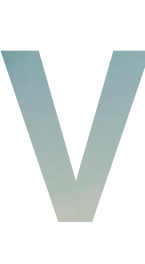 VisionTV 在线视频平台