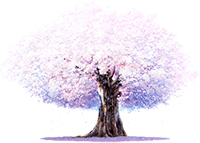 樱之空导航 - 樱花之空中舞二夜❀ | ACG二次元资源网站・ALL.cc