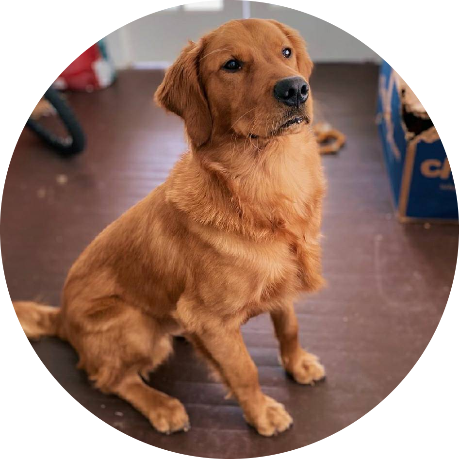 Eureka - 简单、自由、随性！